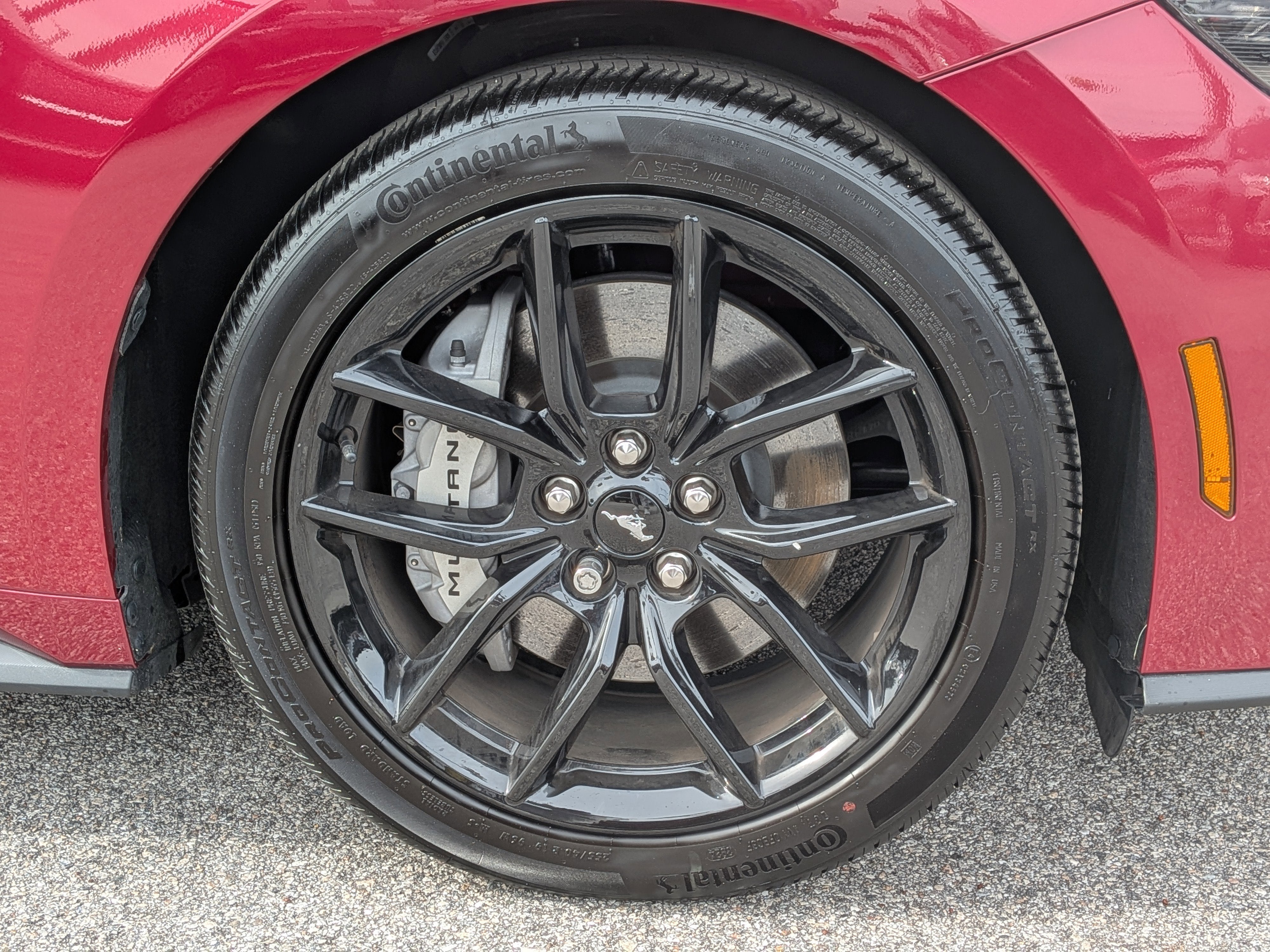 2025 Ford Mustang GT Premium Fastback